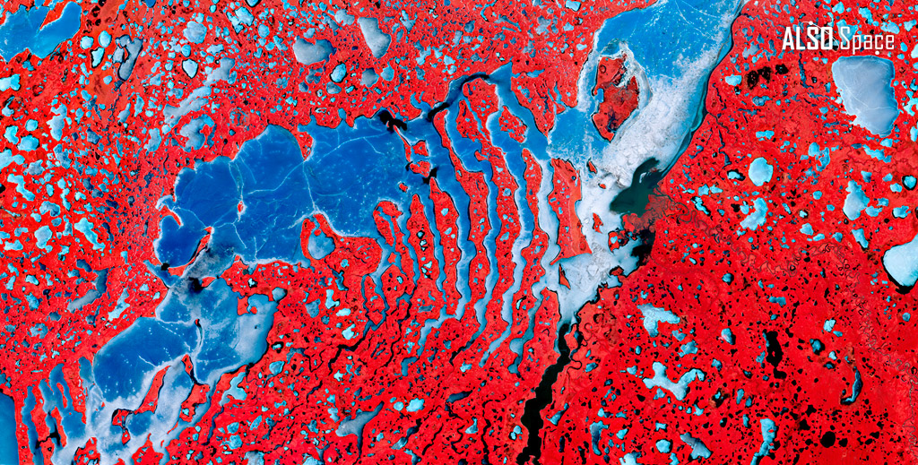 The Husky Lakes, Canada